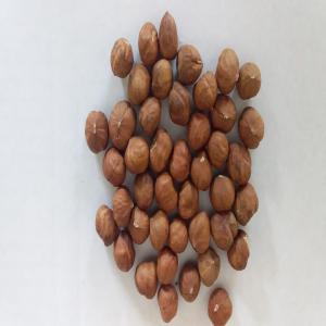 origin is Azerbaijan and  variety is ATA-BABA nut - roasted seeds and nuts hi,  we are supplying hazelnuts. we are a company/manufacture,  not a broker or any trader.we guaranteed you the best qualities at the cheapest prices.--