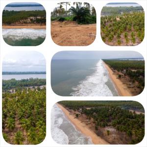 Vente d'un terrain sur une île en côte d'Ivoire