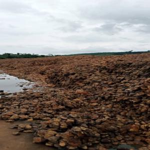 Caoutchouc brut ( hévéa) - matiere vegetale entreprise d exportation du caoutchouc brut de très bonne qualité venant directement du champ et pouvant etre exporté de la côte d'ivoire aux autres pays du monde nous exerçons dans ce domaine il y a maintenant 06 mois précisément depuis janvier 2022