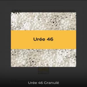 Urée 46% disponible  - chimie additif engrais urée 46% --urée 46 % est un engrais azoté sous forme organique nécessitant une transformation avant son assimilation par la plante. la minéralisation de l’urée s’effectue en présence d’humidité,  chaleur et micro-organismes du sol.----uré