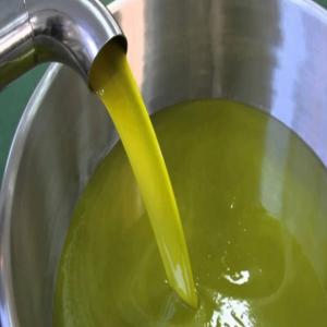 Huile de olive  - huiles nous sommes une entreprise spécialisée dans l’ère de l’huile d’olive vierge d’excellente qualité --les olives sont pressées dans de l’eau froide pour assurer une excellente qualité --pour ceux qui sont sérieusement intéressés,  contactez-