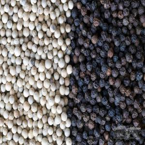 Pepper - aromatic spices dear sir/madam,  (hs 090411)--we would like to offer- pepper which consist of black pepper and white pepper. botanical name- piper nigrum. typical characteristic of black pepper- 550grms/liter (min. density),  13.5% (max. moisture),  0.5% (max. admixture). white pepper- 630grms/liter (min. density),  13