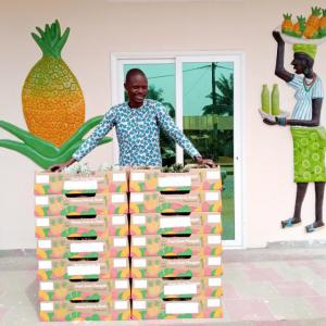 Ananas frais pain de sucre et cayenne lisse . - fruits et légumes nous disposons de ananas pain de sucre et cayenne lisse pret à commercialiser dans la commune de zè,  bénin,  département de l'atlantique .