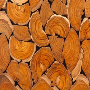 Teck wood  - wood charcoal fiber hello,  we have a good forest of wood'steck and we can deliver to you in industrial quantities according to the order of each of our customers,  contact us we will deliver to you every month.--