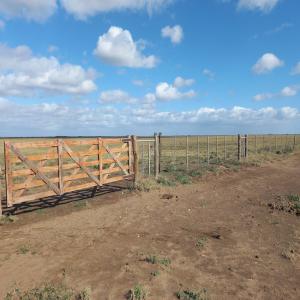 670 HECTARES EN ARGENTINE – PROVINCE DE BUENOS AI