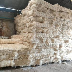 UG SISAL FIBER  - other we are looking to market our products for any buyer who is interested to buy agricultural  products 