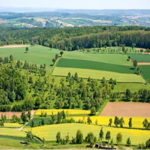 Terrains fertiles - autres nous mettons en vente 2000 hectares de  terrain très fertiles au togo à 95 km de la capitale lomé.--document disponible- droit de propriété et mandat notarial.