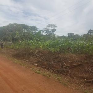 Vente de terrain à Bankomo Cameroun  - mine terrain concession nous recherchons urgemment des acheteurs de terrain à zouatsoupsi par bankomo à l'entrée de la capitale du cameroun yaoundé. nous y disposons un espace avec titre foncier d'une superficie de 5000m2 fractionnable. cet espace est situé en bordure de route.