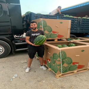 Watermelon/pasteque/ #morocco #uk #europe - fruits and vegetables hello everybody.------watermelon to delivery  dirctly  to your destination .----conatiner / loory .----size from 6 to 20 kg.----fresh quality / sweet / green look.--------