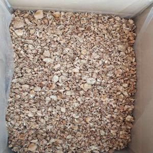 dried marasius oreades (faux mousseron) -  yeast fungus dried marasius oreades (faux mousseron)--packing- carton box 7 kgs net weight--minimum order quantity- 1 box