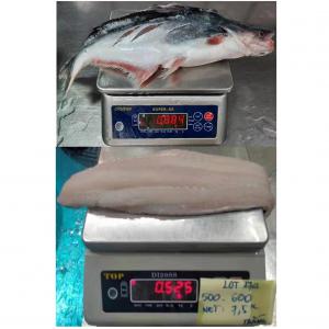 Fillets de pangasius hypophthalmus surgelés - fish je suis à la recherche de fournisseur vietnamien de fillets poissons pangasius hypophthalmus (basa commun),  le fournisseur doit avoir un certificat chinois d'importation aqsiq (general administration of quality supervision,  inspection and quarantine of prc).----i am looking for a vietnamese s