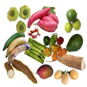 DISTRIBUTION - FRUITS ET LEGUMES EXOTIQUES - fruits et légumes vous etes - distributeurs - grossistes - centrales d'achat - revendeurs spécialisés - revendeurs labellisés biologiques - supermarchés ?----vous etes le bienvenu et nous vous ferons les meilleurs prix et services au monde!.----nous sommes aussi un cabinet d'accompagnement