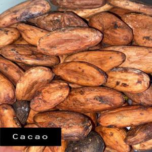 Besoin des acheteurs du cacao, sésame, soja - fruits secs et graines grillées nous recherchons un gros acheteurs pour un contrat a long terme pour l'achat des quantités de sésame, soja, et cacao le tonnage minimal requis pour le contrat est de 5000t pour chaque granulés.pour tout intéressé nous écrire noté bien que l'information 