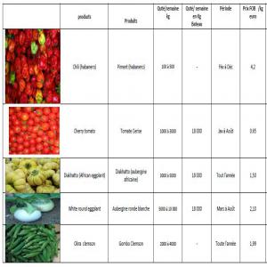 Légumes et fruits frais de saison - fruits et légumes nous vous proposons une large gamme de légumes frais et de fruits tropicaux de saison. ----légumes disponibles---chili (habanero)--cherry tomato--diakhatto (african eggplant)--white round eggplant--okra clemson--but sweet--squash--green bean end--cabbage--carrots--potato--onion--parsle