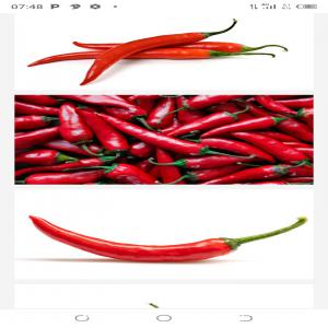 Recherche des grossistes pour l'achat du piment  - semence graine plant nous recherchons des grossistes pour l'achat de nos produits--nous mettons sur le marché du piment d'espelette rouge 