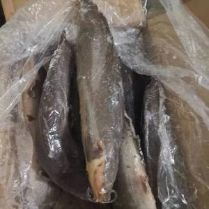 Catfish Whole Round export to African Markets - fish catfish whole round--iqf or block frozen--glazing-0-30%glazing--packing-10kg/carton--it is good source of protein.