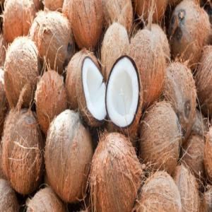 Dry coconuts Côte d'Ivoire 