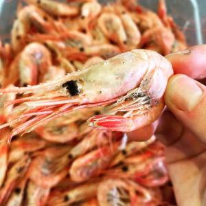 Crevettes fumé disponible pour exportation - publicité-nouveaux produits bonjour...nous disposons de 5 tonnes de crevette fumé près a l'exportation a partir de janvier 2023 .toutes personnes intéressé nous contacter .merci