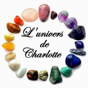 Cherche fournisseur en pierres fines - pierre roche bonjour,  je viens de me lancer en auto-entreprise et je suis passionnée des minéraux. je cherche des fournisseurs qui pourraient me proposer des pierres de qualités à prix correct. je recherche surtout - labradorite,  malachite,  lapis lazuli,  quartz,  tourmaline,  agate,  jas