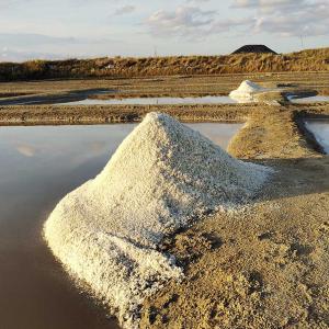 Sel naturel pour alimentation animale bio - aliments pour animaux récolte 2022--sel gris naturel,  récolté à la main,  sans additifs,  ni conservateurs ni anti-agglomérants.--recommandé pour l'élevage bio--conditionné en sacs de 25 kg et expédition en palette de 800 kg