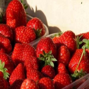 Fraise framboise myrtille du Maroc de bonne  - fruits et légumes nous sommes une entreprise basée au maroc spécialisée dans l'exportation de fruits frais dans le monde entier. notre gamme comprend différentes variétés de fruits rouge,  des framboises,  des fraises,  des myrtilles ... --notre mission est de proposer des produ