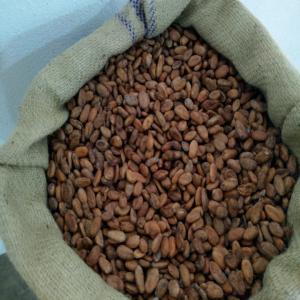 Fève cacao de Madagascar 