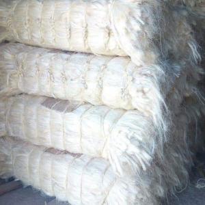 FIBRE DE SISAL EN VENTE  - bois charbon fibre salut nous disposons une grande quantité de filasse(  sisal fiber )pret à exporter nous sommes basé en tanzanie pour  les acheteurs sérieux pour plus d'information n'hésitez pas de me contacter 