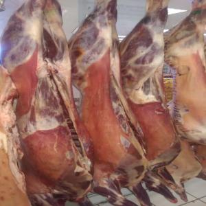 Goat and beef meat for sale  - meat and eggs we produce goat and beef meat in carcass and cuts (6 way cuts,  cubes,  vacuum packaging,  etc). halal beef,  sheep and goat meat available as well. for more details,  please reach out via our contact details. 