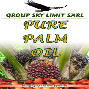 Producteur  d huile de palme - huiles group sky limit sarl est une entreprise  spécialisée  dans l agriculture  plus principalement  dans la production d huile de palme.  dans la plantation  du tec et l accasia  etc... nous recherchons  aussi des partenaires  d affaires fiable.  nous sommes localiser  au bénin 