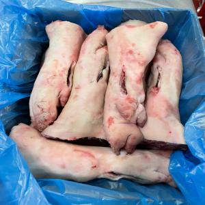  FOURNISSEURS DE VIANDES DE PORC EN FRANCE  - viandes et oeufs nous recherchons des fournisseurs de viandes de porc partout en france et en belgique . veuillez nous contactez si vous en etes,  nos contact son sur internet service agro+. 