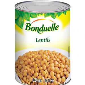 lentilles en boite de marque bonduelle  - conserve semi conserve brand- bonduelle (high end)--tins of 235g--#of tins- 260, 000--#pallet-87--european pallet--origin-france--labelling- german--shelf life march 2025----lentilles en boite bonduelle de haute qualité,  disponible en incorterm exw 