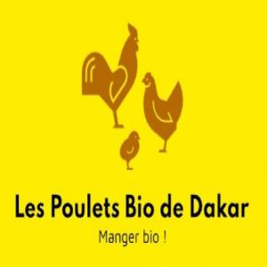 Vente de Poulets de Chair  - viandes et oeufs les poulets bio de dakar vous offre les meilleurs des poulets de chair nés,  élevés et abattus dans le respect du rite halal,  déjà vidés et bien emballés. --nous avons des poulets de --- 1,  300 kg-- 1, 400 kg -- 1, 500 kg -- 1, 600 kg-- 1, 700 kg jusqu'a 3