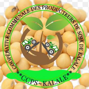 Soja grain sec issue des variétés améliorée  - céréales nous sommes la coopérative communale des producteurs de soja de kalalé,  nous sommes au bénin formellement enregistrée au registre des organisations professionnelles agricoles du bénin et publier au journal officiel de la république du bénin. nous cher