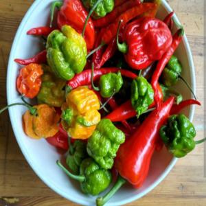 Piment tomate en stock - fruits et légumes nous sommes à la recherche des fournisseurs pour une affaire des fruits et légumes de très bonnes qualités