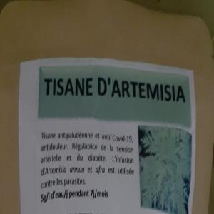 TISANE ARTEMISIA  - café cacao thé c'est une tisane antipaludéen et anti covid 19. un antidouleur,  régulateur de la tension artérielle et du diabète. 