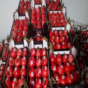 Pomegranate  - fruits et légumes nous cherchons des acheteurs sérieux pour pomegranate nouvelle récolte calibre 3 et 4 avec un taux de jus 75%.--origine tunisie.--si vous etes intéressé vous pouvez nous contacter par email ou whatsapp 