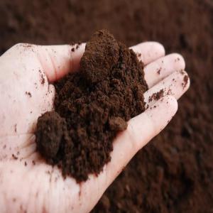 coffee grounds - other we are looking for customers or partnerships for coffee grounds,  we are close to collecting coffee grounds throughout the territory of morocco.