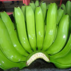 CAVENDISH BANANA - fruits and vegetables cavendish banana from cameroon recognized for its good taste,  is produced in a climate and with monitoring to maintain and ensure its good quality from the production fields to delivery.