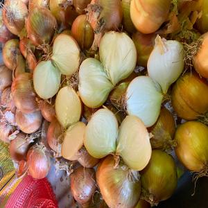 Dutch onion supplier - fruits and vegetables sir madam we are looking for a supplier of onions from holland to the ivory coast we need the cif price port of abidjan and transit time.