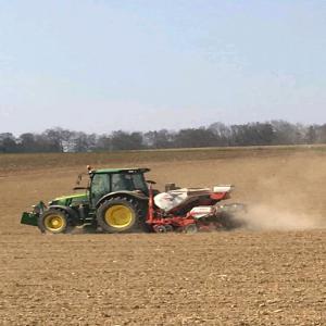 Production sur commande. - céréales nous sommes un groupement de producteurs au nord du bénin et sommes spécialisés dans la production sur commande. nous sommes disposés à produire pour tout type de céréales et légumineuses la quantité et la qualité qu'il vous convi