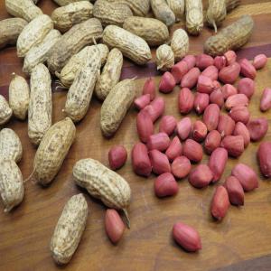 Vente des secs: grain sésame, l'arachide, Côme Ar - fruits secs et graines grillées entreprise familiale cité aux en algérie,  soudain et au tchad depuis 2006.--nous sommes dans la production agroalimentaire.--nous produisons du grain agricole pour la consommation humaine fruits secs tell que le grain sésame,  l'arachide ,   le grain de tournesol --ainsi les l&eac