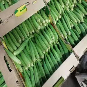 Gombos du Sénégal - fruits et légumes vends gombos du sénégal --carton de 6kg --livraison par avion--minimum de commande 500kg--produits cueillis ou ramassés le jour a pour embarquement le jour a ou b