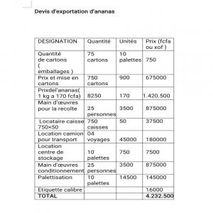 Exportation d'ananas et autres produits  - fruits et légumes nous sommes une coopérative agricole basée en côte d'ivoire au nord-est. nous pouvons exporter de l'ananas,  de la noix de cajou,  du beurre de cacao naturel et beurre de karité ,  des fèves de cacao., .--pour tout client intéressé ,  veuillez me contacter 