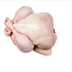 Poulets, cuises  congelés  - viandes et oeufs poulet  entier congelé feet halal à un prix très réduit,  nous pouvons expédier rapidement partout dans le monde.--original- brasil ,   allemagne .usa--délai de livraison - 15 jours--emballage - selon la demande du client--conditions de paiement ---les acheteu