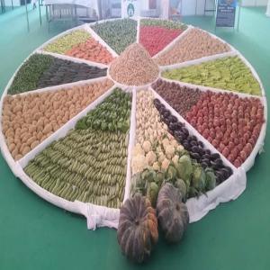 fruits et legumes saisionners provenant d'Algerie - fruits et légumes l’entreprise france amer business international est née d’une passion de l’algerie ainsi que ses ressources naturelles. nous représentons le pont qui relie les producteurs et les consommateurs industriels du monde entier en garantissant le meilleur rapport qualité-prix du march&