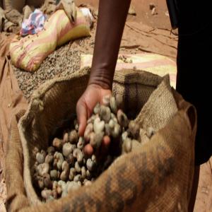 Vente de noix de cajou - fruits secs et graines grillées bonjour, ----nous vous proposons à la vente,  des noix de cajou d'origine ouest africaine (bénin,  côte d'ivoire,  togo, ...).--nous pouvons vous fournir les quantités souhaitées,  d'une qualité irréprochable à des tarifs compétitifs.----n'h&ea