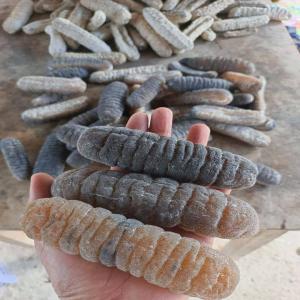 Tout s'achète tout se vend - matières grasses plusieurs kilos de concombre de mer à vendre,  plus de 10000 hectares à vendre ou en location,  plantation de palmiers à huile à vendre,  minéraux et pierre précieuse à vendre,  logistique à louer ou à vendre voiture,  moto,  jet privé, 