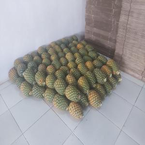 Ananas 🍍 en stock  - fruits et légumes la pulpe de l'ananas est sucrée et très parfumée. c'est une broméliacée. le mot ananas provient du tupi-guarani naná naná,  qui signifie  parfum des parfums . --ce fruit exotique est disponible chez nous en stock est pret à etre expédié. --pour 