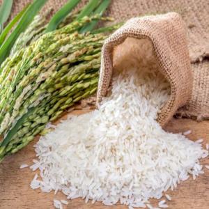 RIZ THAI - céréales voir ci-dessous les différentes variétés proposées-----1- thai hom mali rice--also known as fragrant / jasmine / scented / aroma rice--- thai hom mali rice 100% (purity 92% minimum)--- mixed thai hom mali rice 80 - 20--- thai hom mali rice 100% broken (a1 extra super)--- 