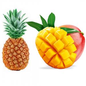 Recherche fournisseurs de Mangue et Ananas - fruits et légumes bonjour à tous, --nous recherchons urgemment des fournisseurs de- --- mangues kent --- ananas md2 pour un client.--10 conteneur par semaine.